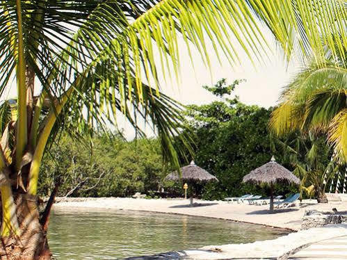 Whispering Palms Island Resort Баколод Экстерьер фото